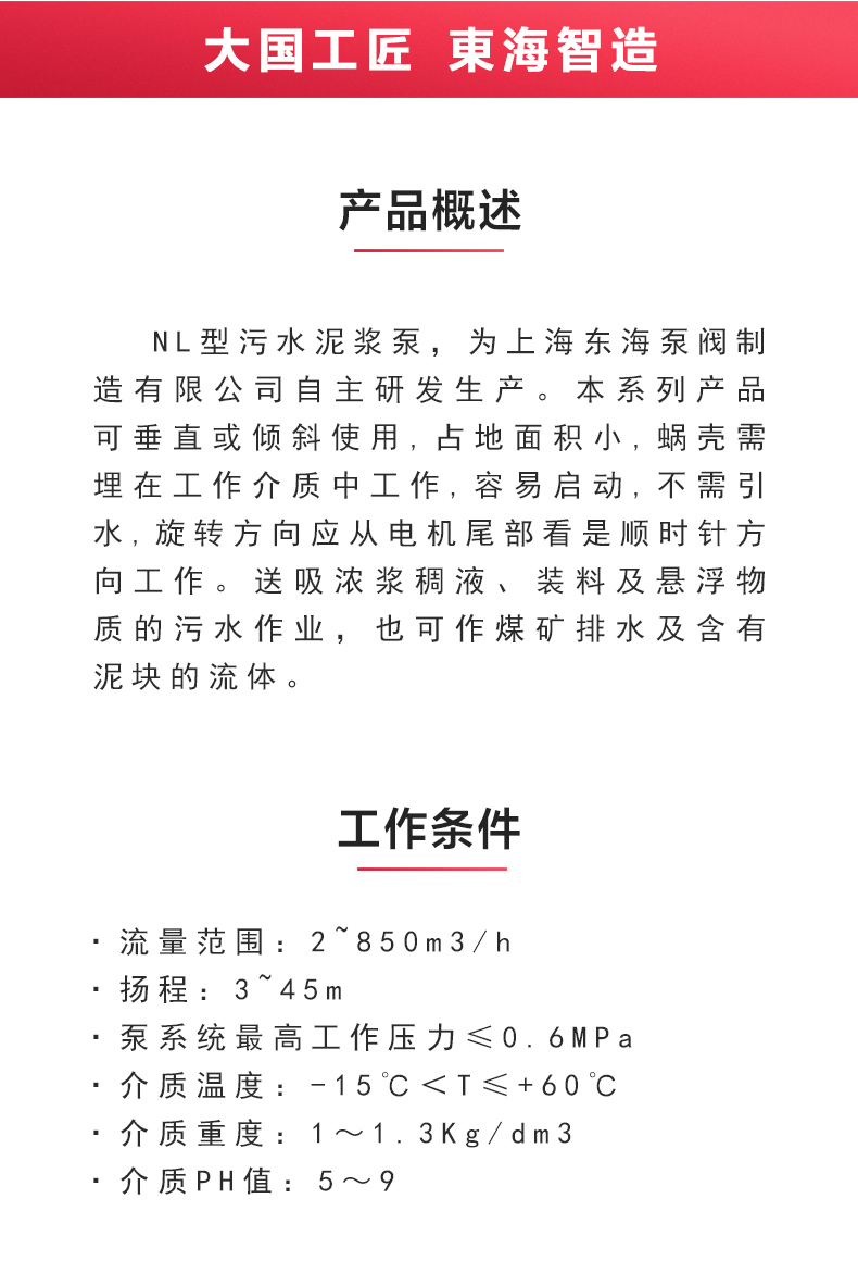 NL型污水泥浆星空（中国）_02.jpg